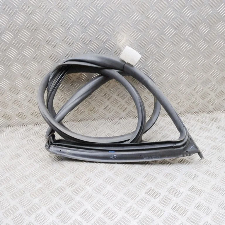 Rubber seal front door (on door) 670108175