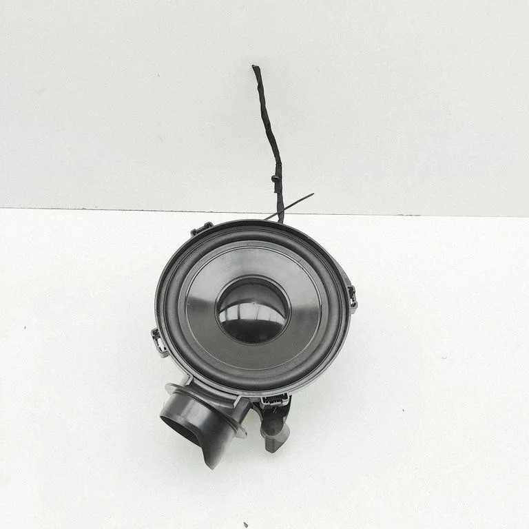 Subwoofer speaker 8Y0035382