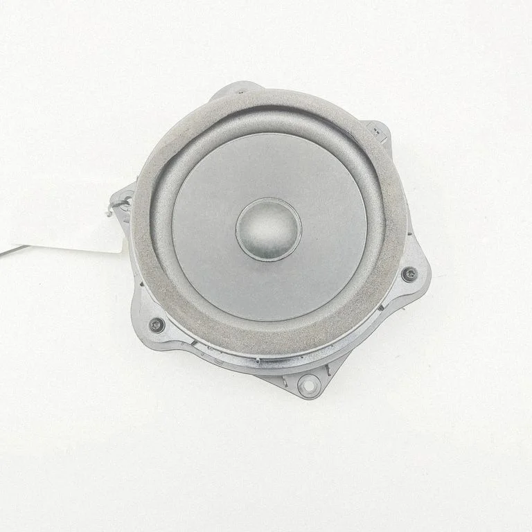 Skaļrunis (-ņi) priekšējās durvīs P8892151123