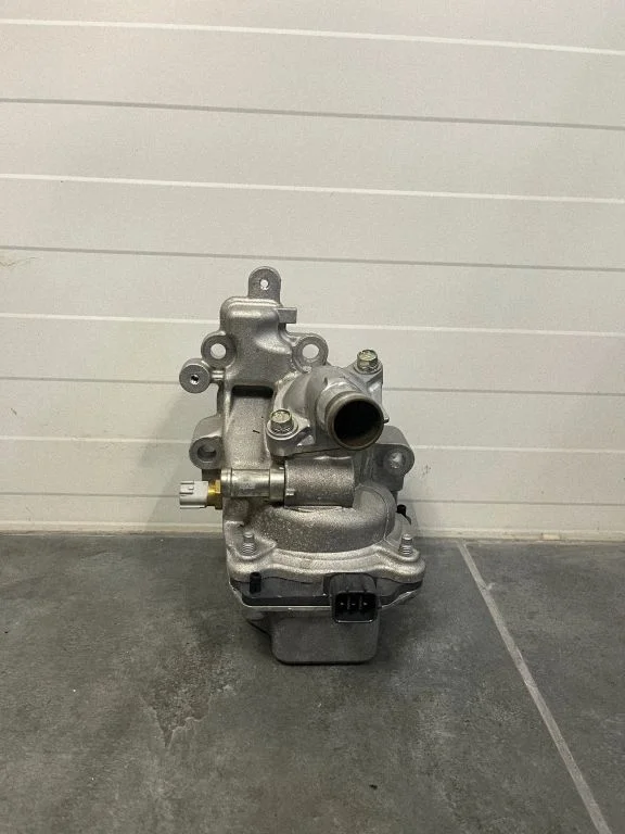 Water pump 110613903R