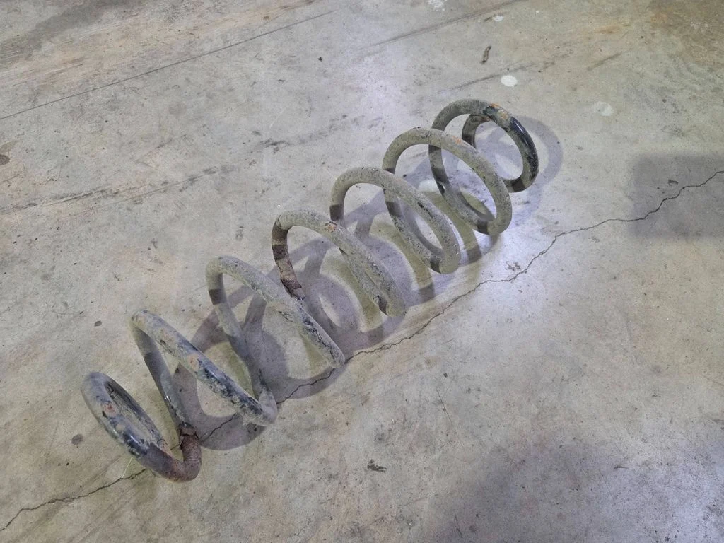 Rear coil spring