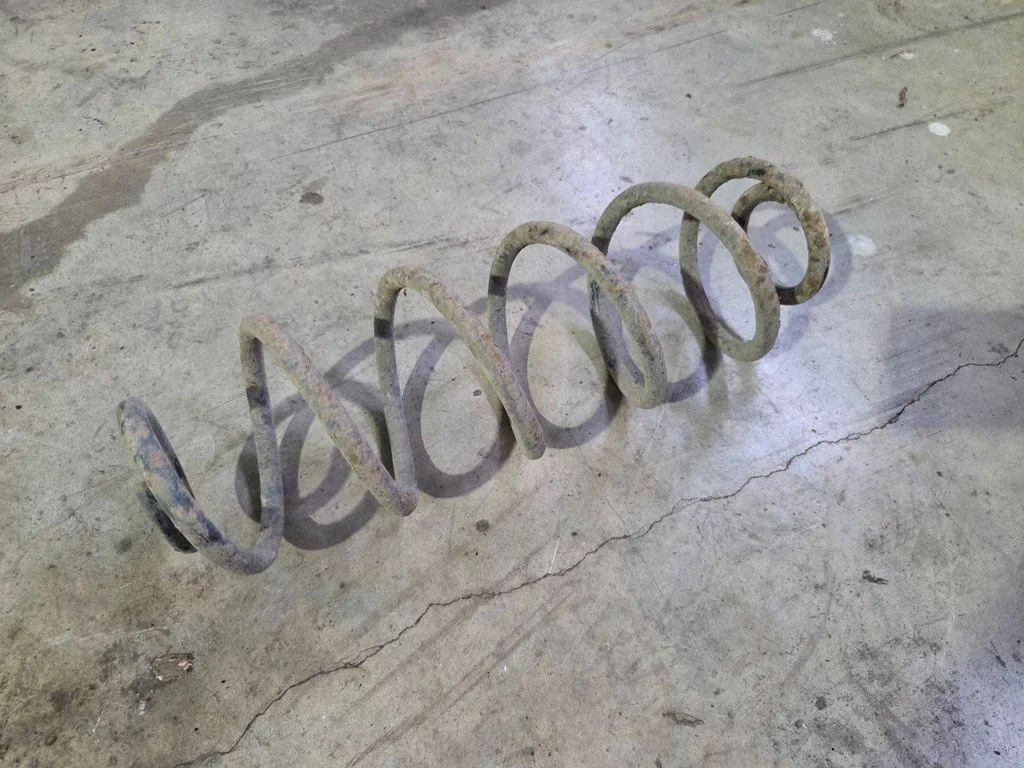 Rear coil spring