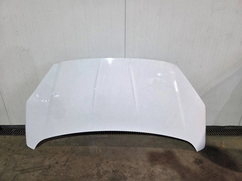 Engine bonnet/hood