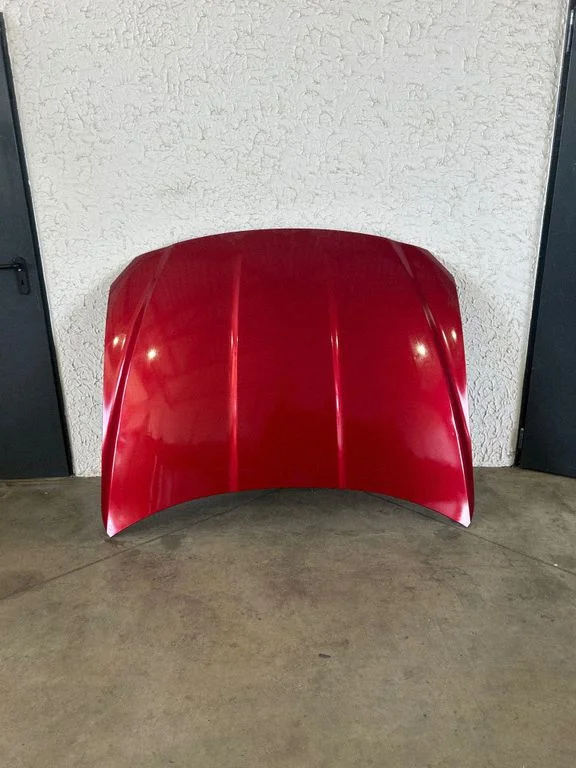 Engine bonnet/hood GX7319H237AB
