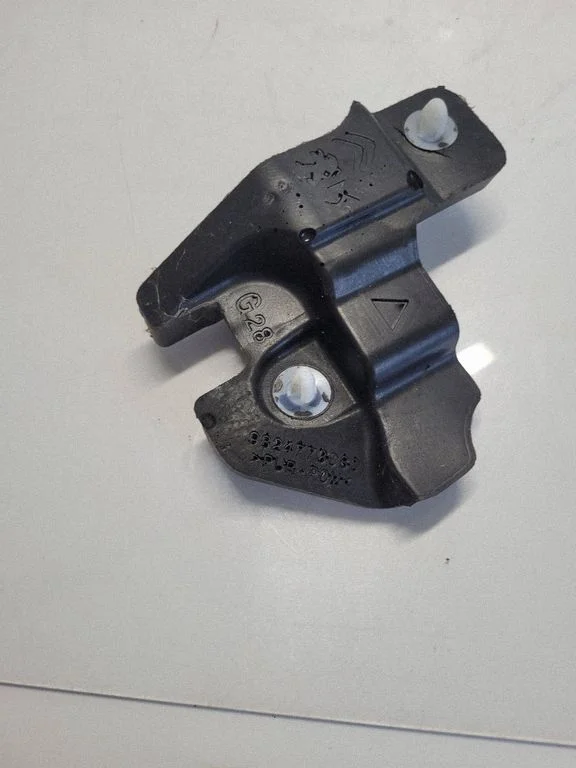 Engine bonnet/hood sound/heat insulation 9824773080