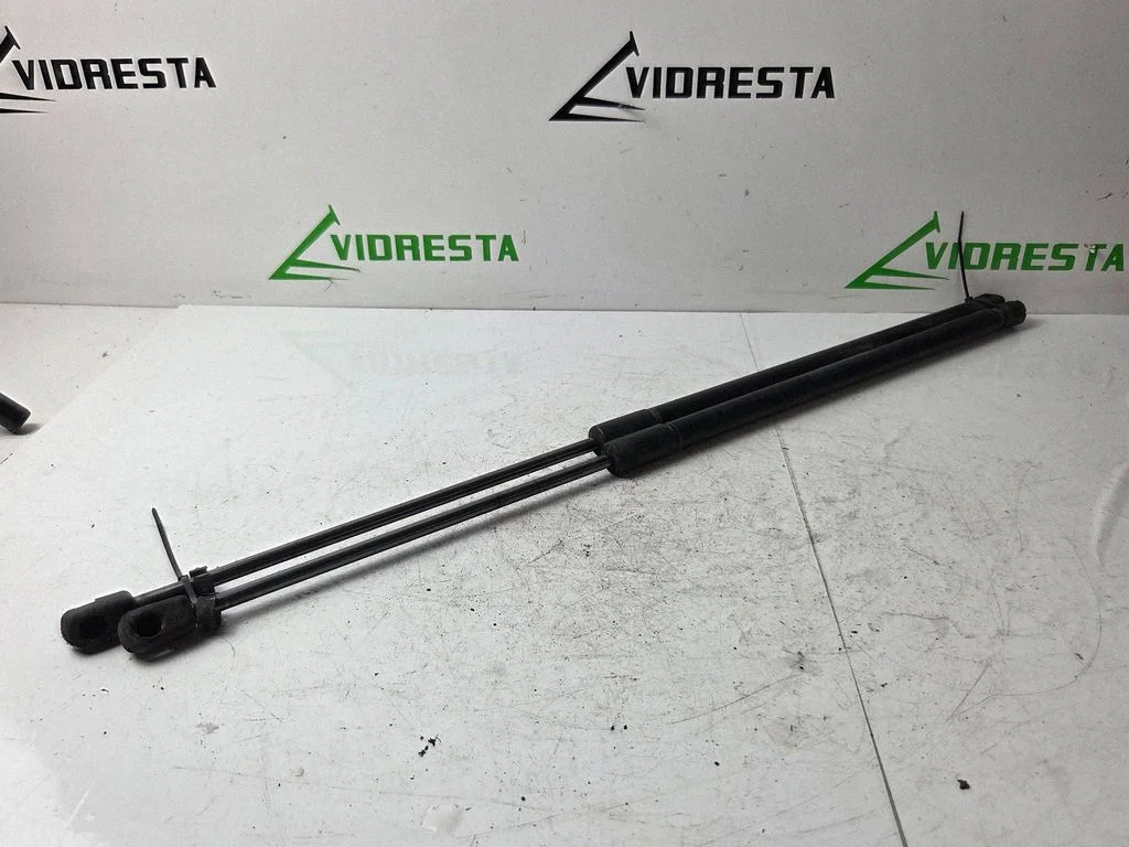 Front bonnet/hood damper/strut A2048800029