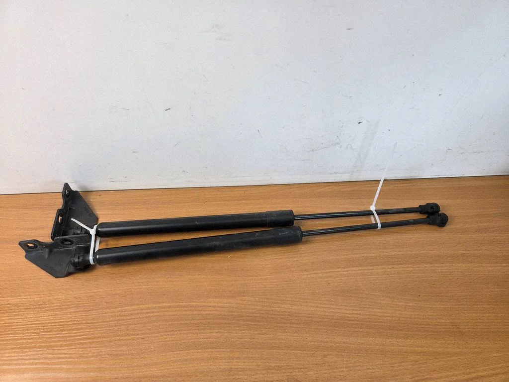 Tagaluugi gaasiamortisaator 9825534780