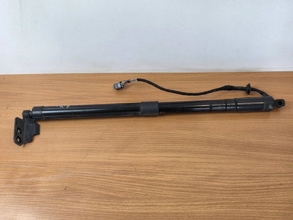 Tagaluugi gaasiamortisaator 31455987