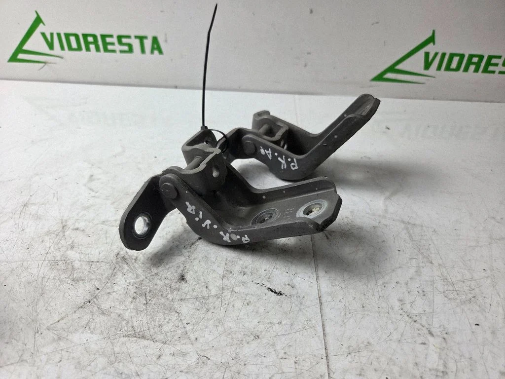 Front door hinges set – front left