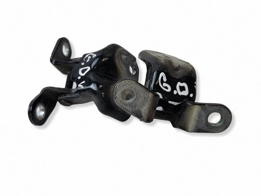 Tagaukse hingede komplekt A046057