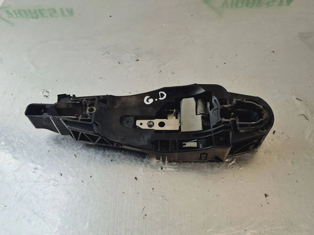 Rear door exterior handle GE0016532