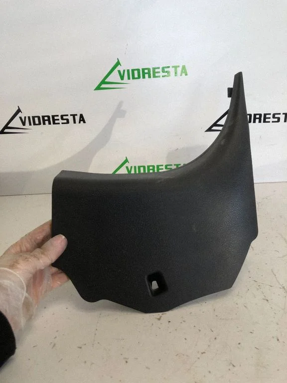Foot area side trim 669009U000