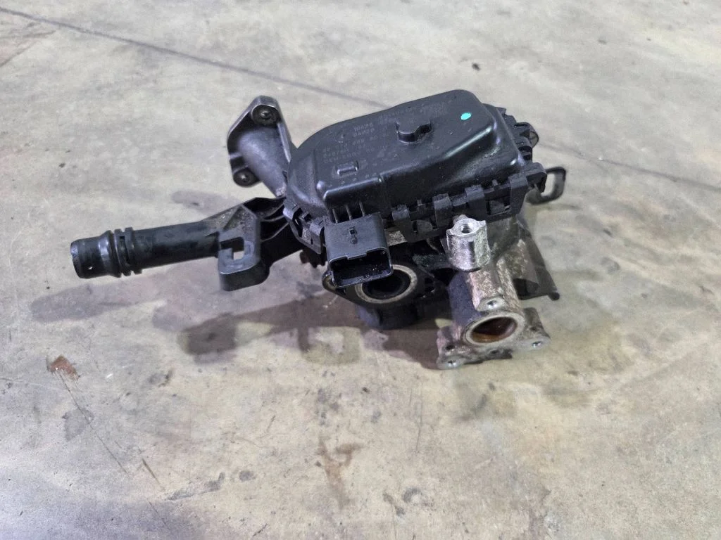 EGR-klapp 9807369980