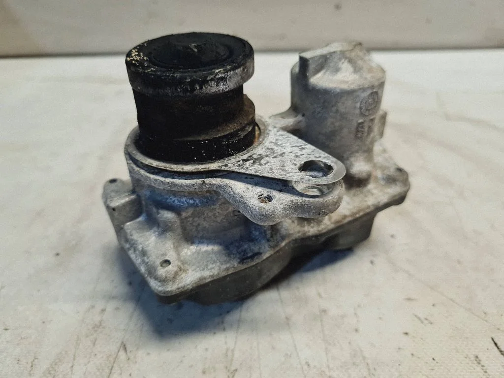 EGR-klapp 100016500R