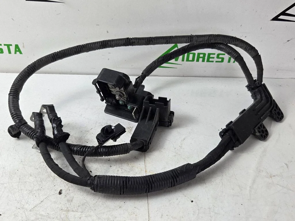 Positive wiring loom 91856G7000