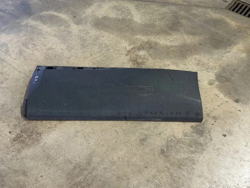 Rear door trim (molding) 9811404577