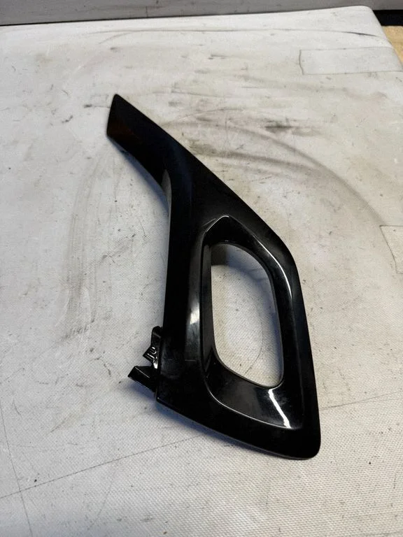 Front door trim (molding) B2249010