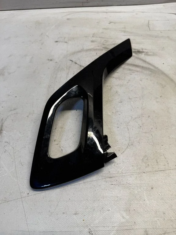 Front door trim (molding) B2249010