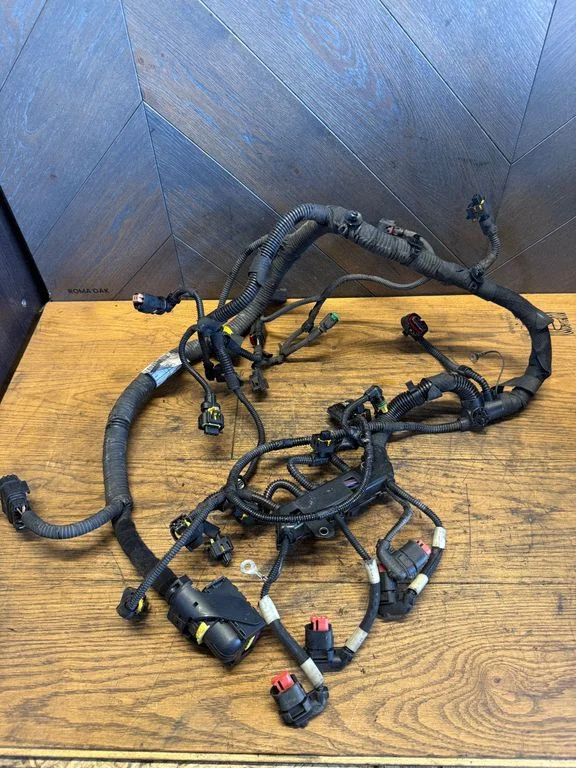 Engine installation wiring loom 0055279028058437