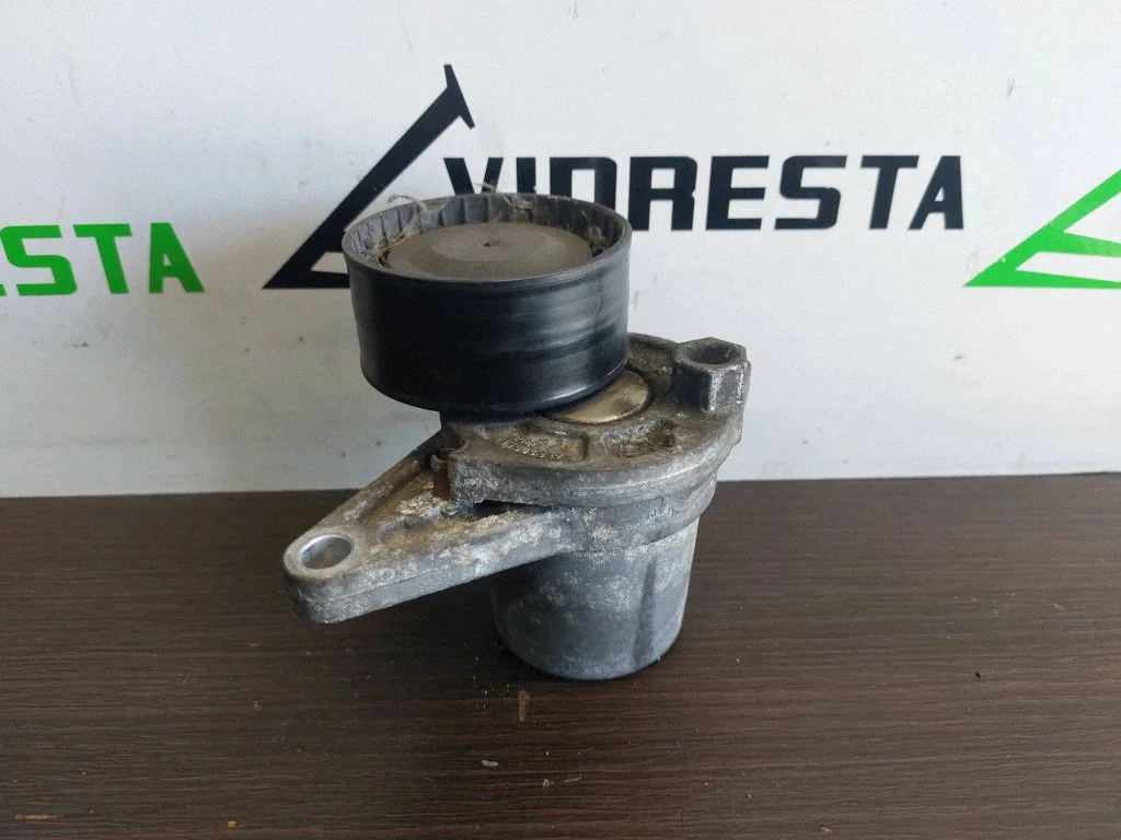 Napinacz paska alternatora 117505337R