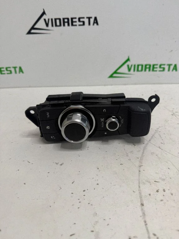 Multimeedia juhtplokk D09H66CM0B