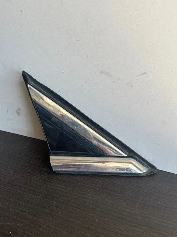 Front door glass trim molding ES73F16004