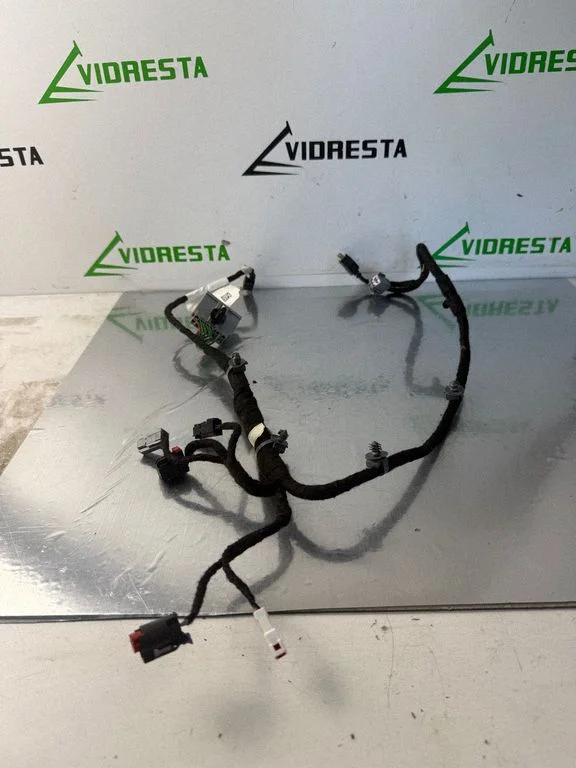 Seat wiring loom