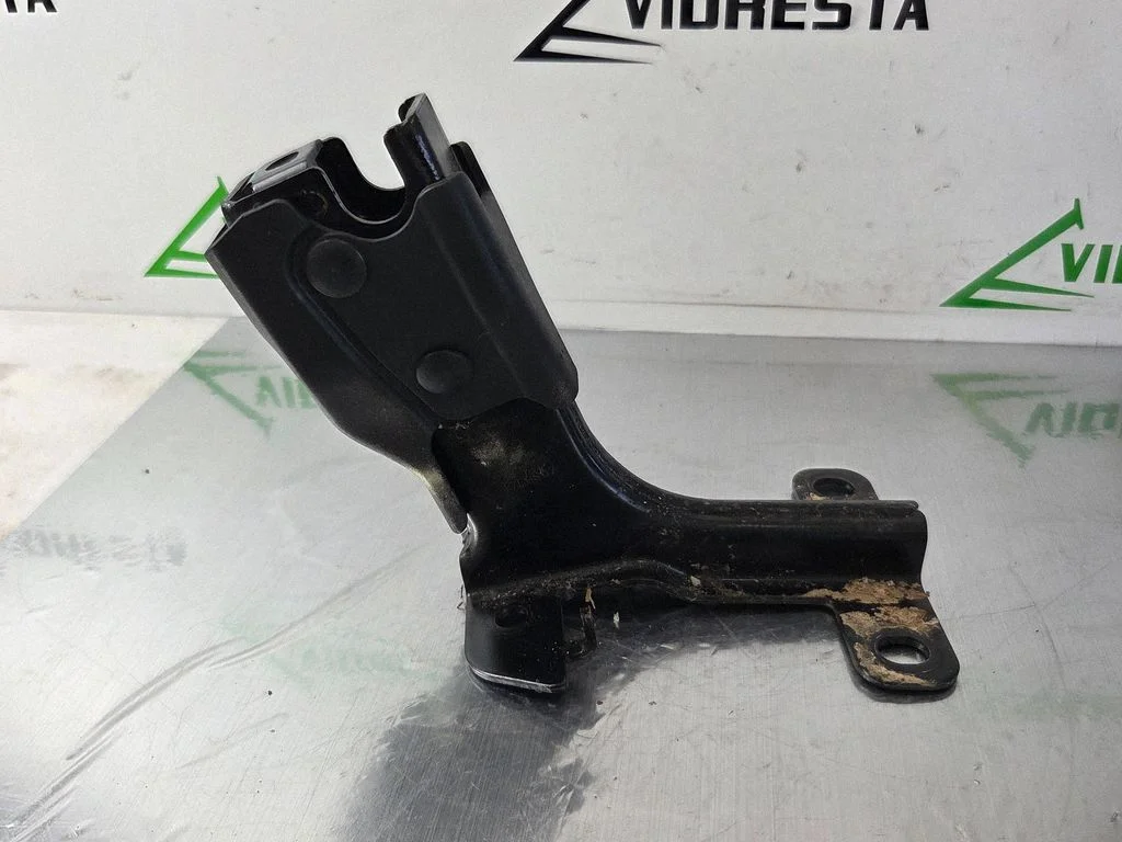 Rear seat cable / handle 17L1607
