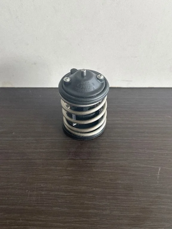 Thermostat/thermostat housing 229916F