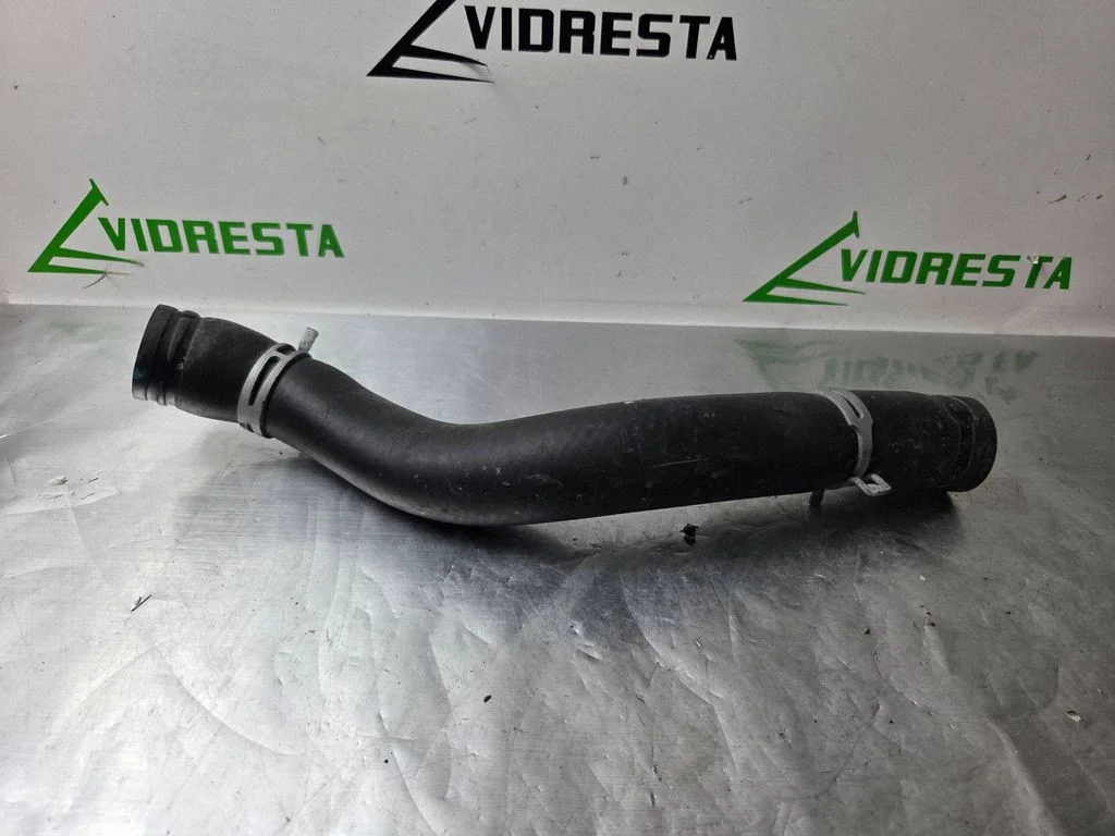 Engine coolant pipe/hose 2010030522