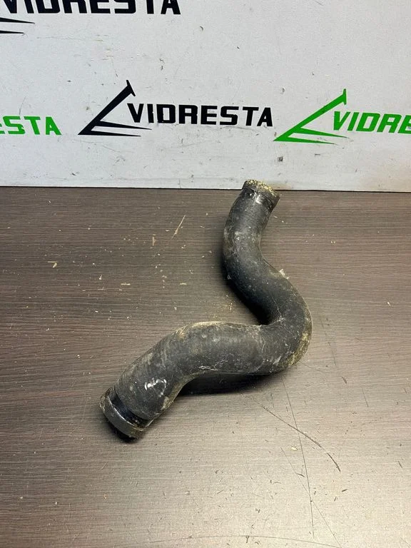 Engine coolant pipe/hose 0051899540