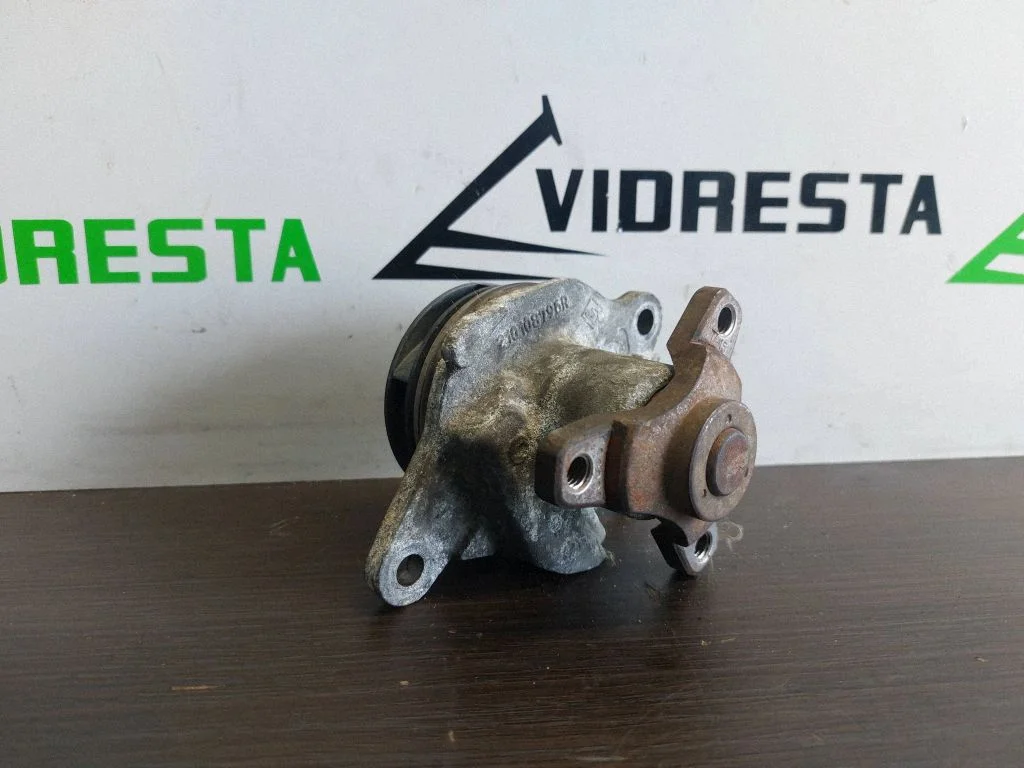 Veepump 210108796R
