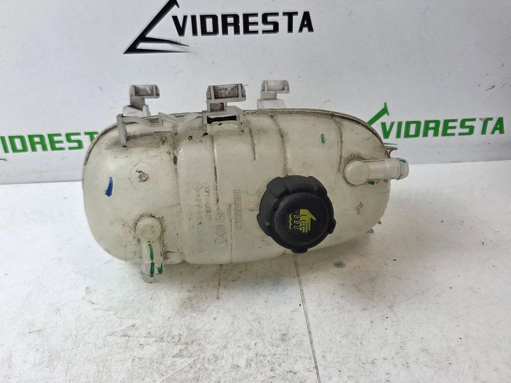 Jahutusvedeliku paisupaak 217105057R