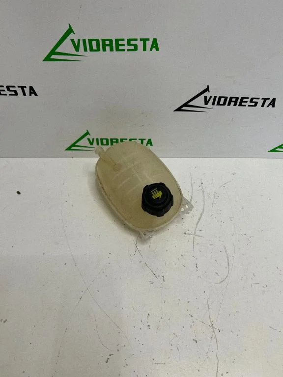 Coolant expansion tank/reservoir 217102572R