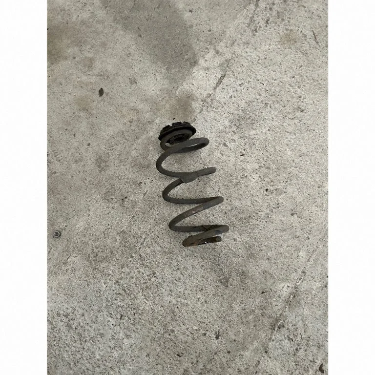 Rear coil spring – left