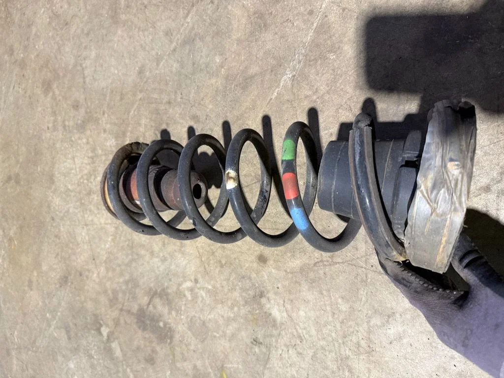 Rear coil spring