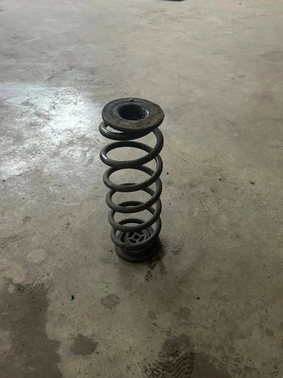 Rear coil spring