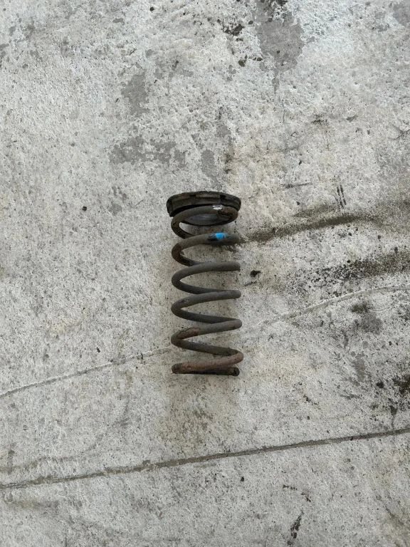 Rear coil spring