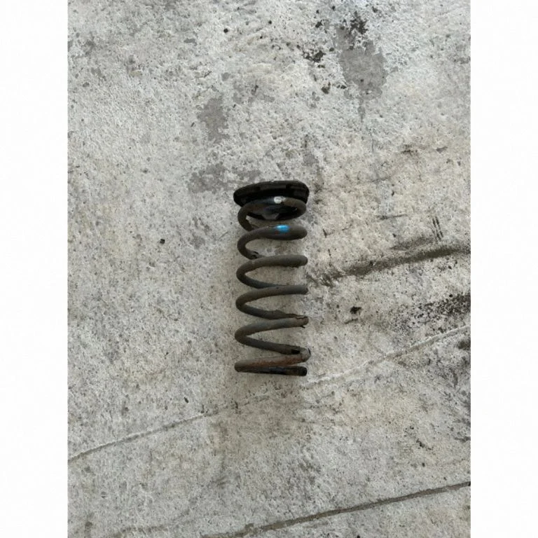 Rear coil spring