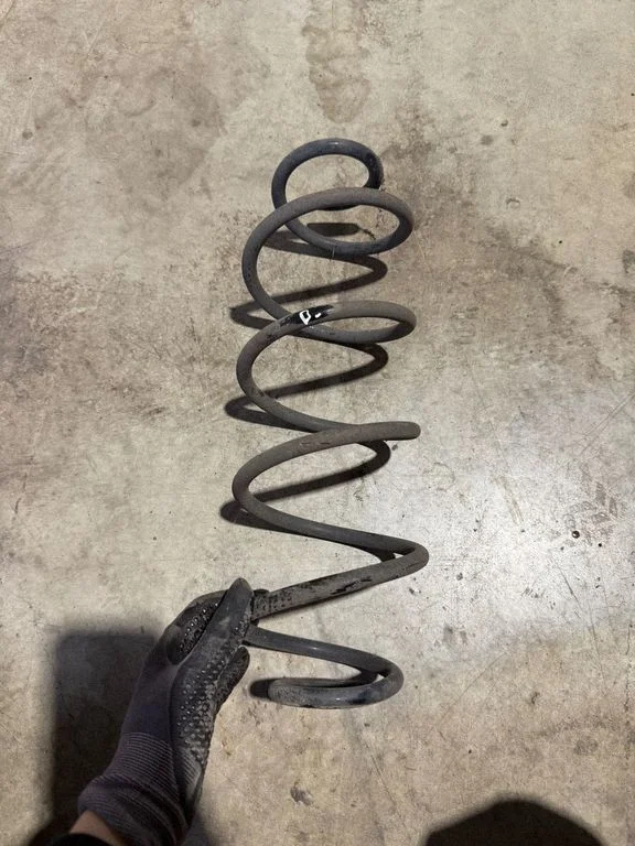 Rear coil spring