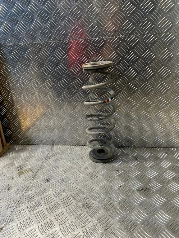 Rear coil spring