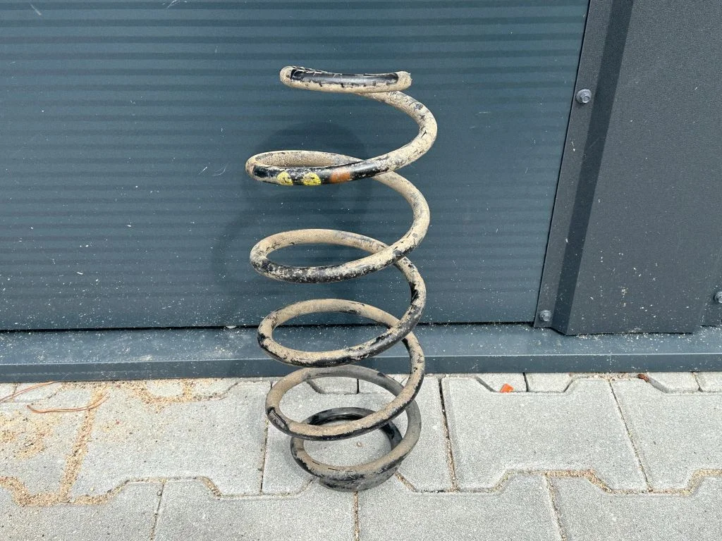 Rear coil spring