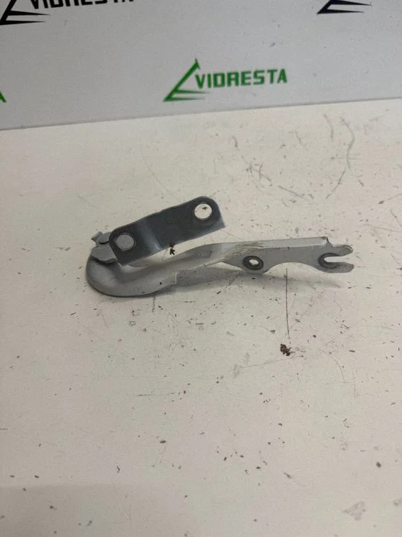 Motora pārsega eņģe (-es) – labā