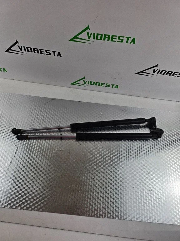 Front bonnet/hood damper/strut 17C27AC1