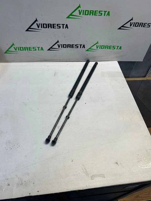 Tailgate/trunk strut/damper 90450JD01C