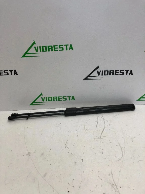 Aizmugurējā vāka amortizators 904508213R