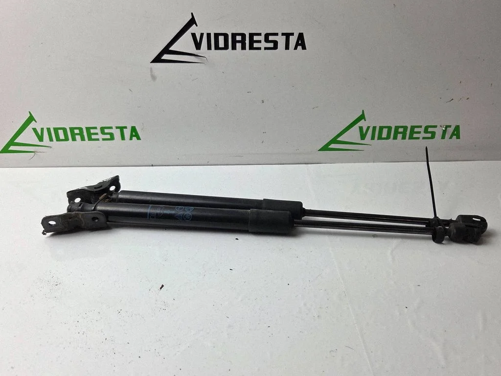 Tailgate/trunk strut/damper 9581810615N
