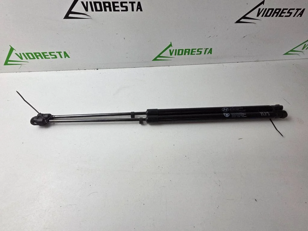 Tailgate/trunk strut/damper 81841Q0000