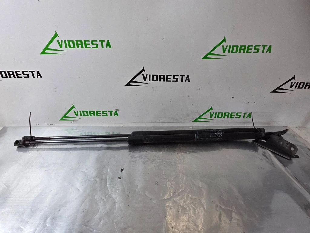 Siłownik (sprężyna gazowa) klapy bagażnika 7397100515N