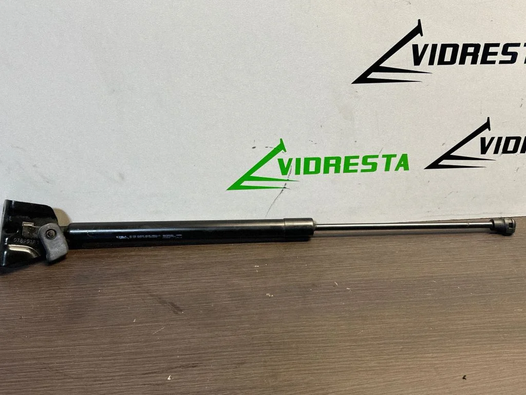 Tagaluugi gaasiamortisaator 9807899380